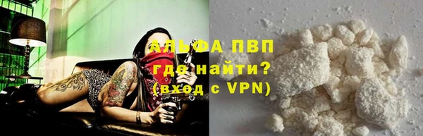 молекула духа Пестово