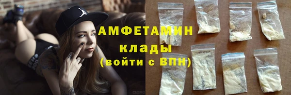 молекула духа Пестово