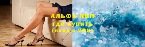 молекула духа Пестово