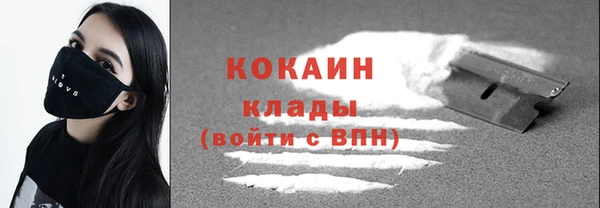 молекула духа Пестово