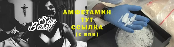 молекула духа Пестово