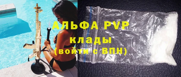молекула духа Пестово