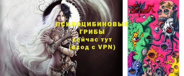 молекула духа Пестово