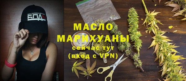 молекула духа Пестово