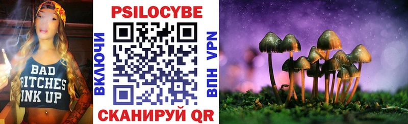Галлюциногенные грибы Psilocybine cubensis  Купить  Кисловодск 
